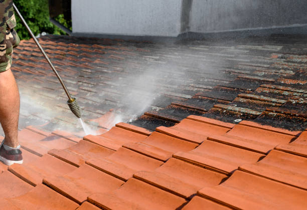 Best Deck Cleaning Services  in Florida, NY